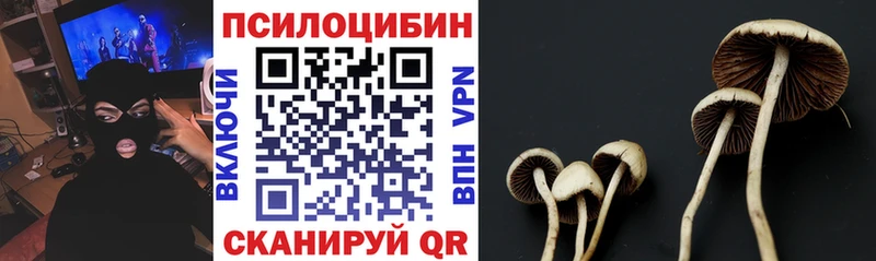 Псилоцибиновые грибы Psilocybine cubensis Мирный
